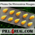 Pilules De Rhinocéros Rouges cialis1